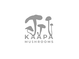 KAAPA logo